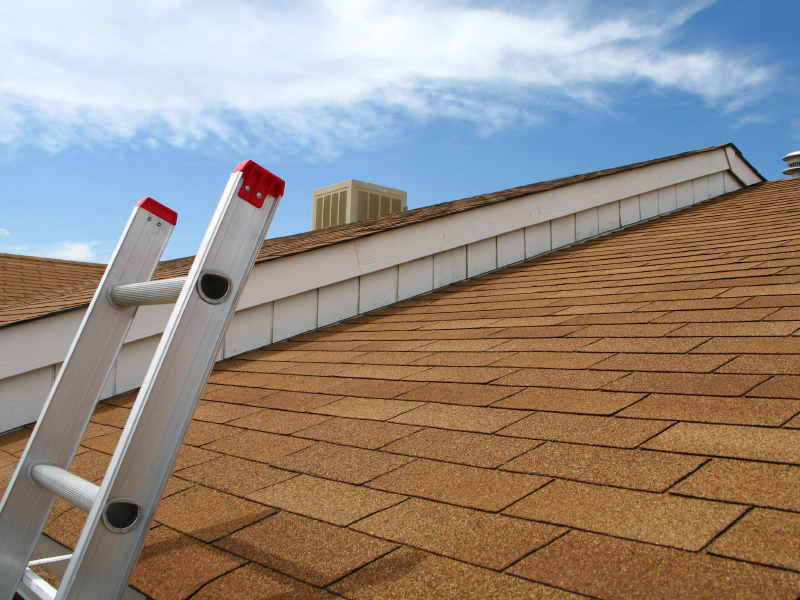 How to check your roof for winter damage