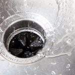 What goes down the garbage disposal