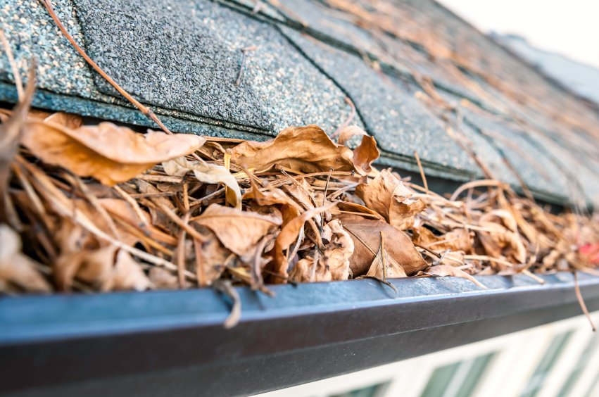 The importance of cleaning your gutters