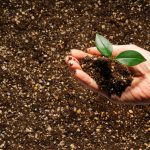 Easy composting at home