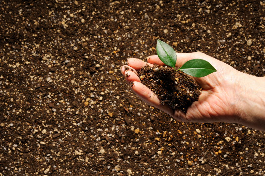 Easy composting at home