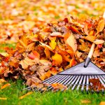 Fall and winter lawn preparation