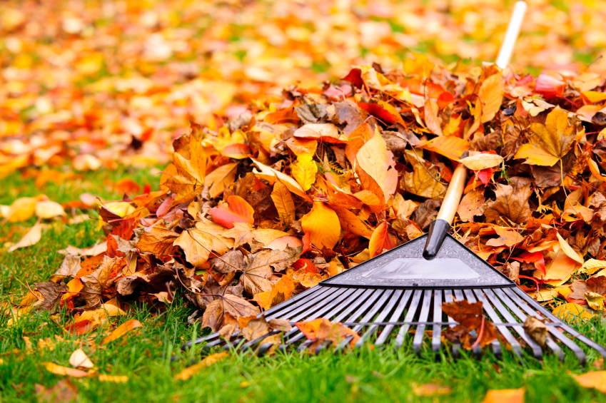 Fall and winter lawn preparation