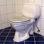 How To Fix a Toilet Leak