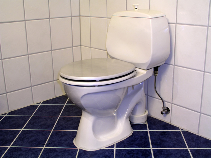 How To Fix a Toilet Leak