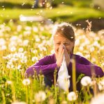 Five ways to fight spring allergies around the home