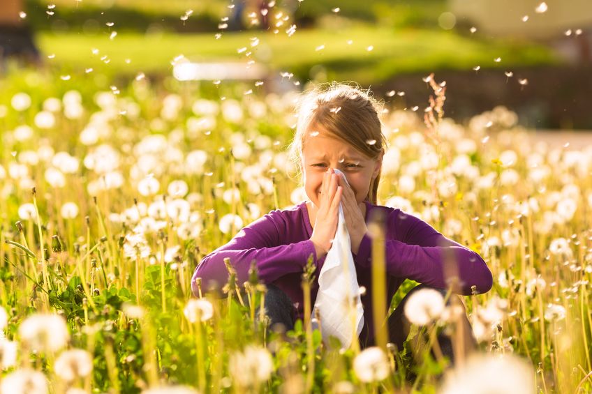 Five ways to fight spring allergies around the home